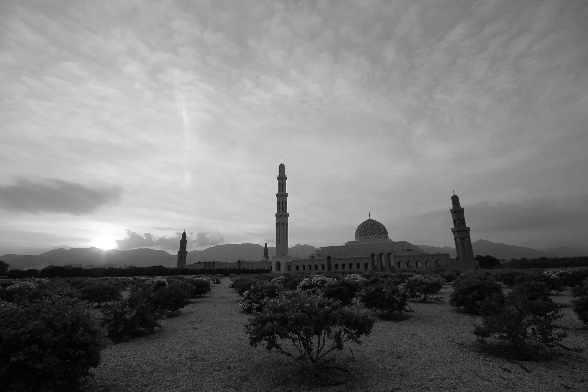 عُمان